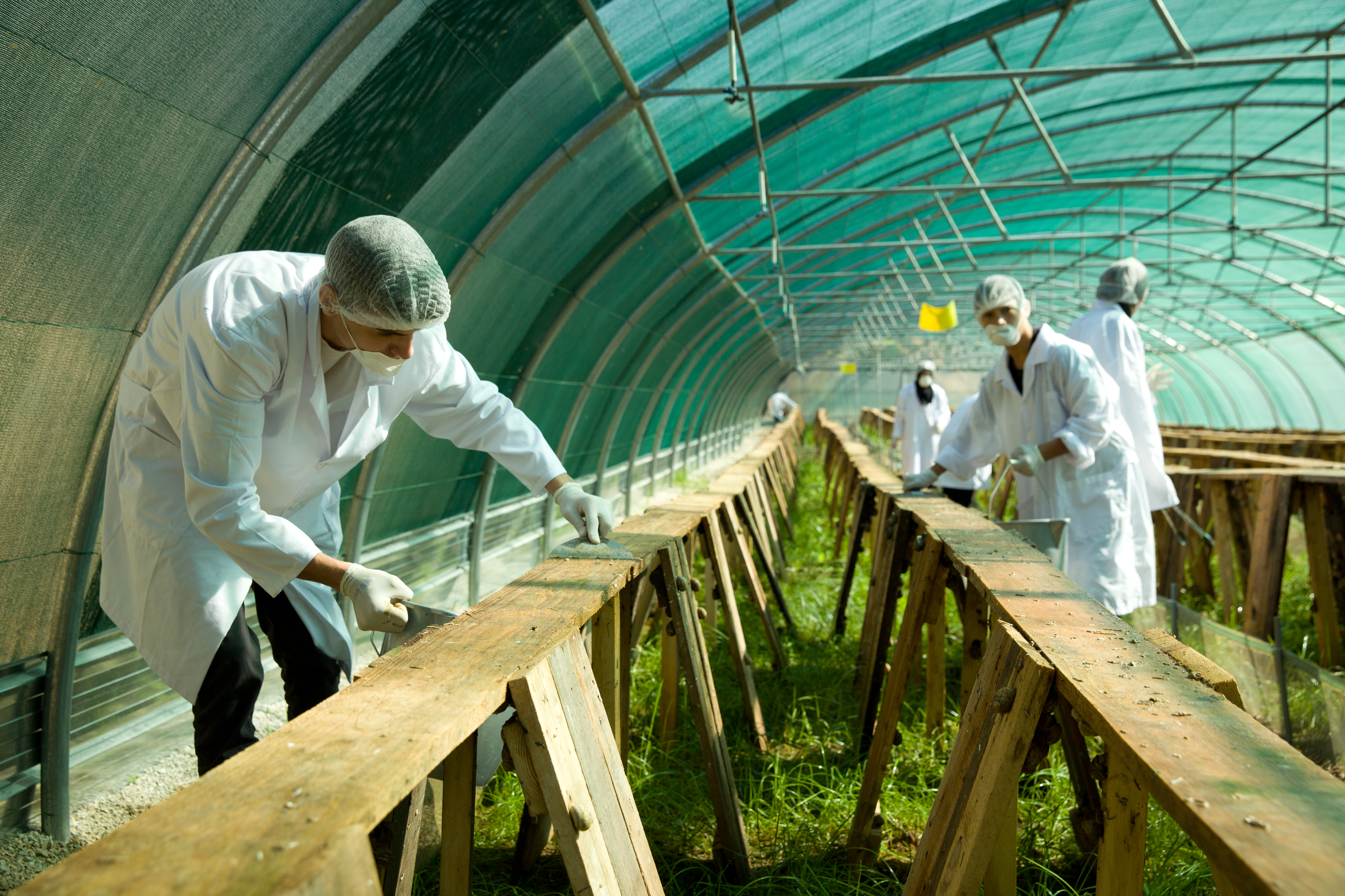 Baabda Society D&amp;D 2014-Photos Emile Issa-_MG_4094-33