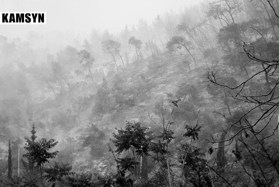 baabda-fire-by-emile-issa-ei-l1008648-1